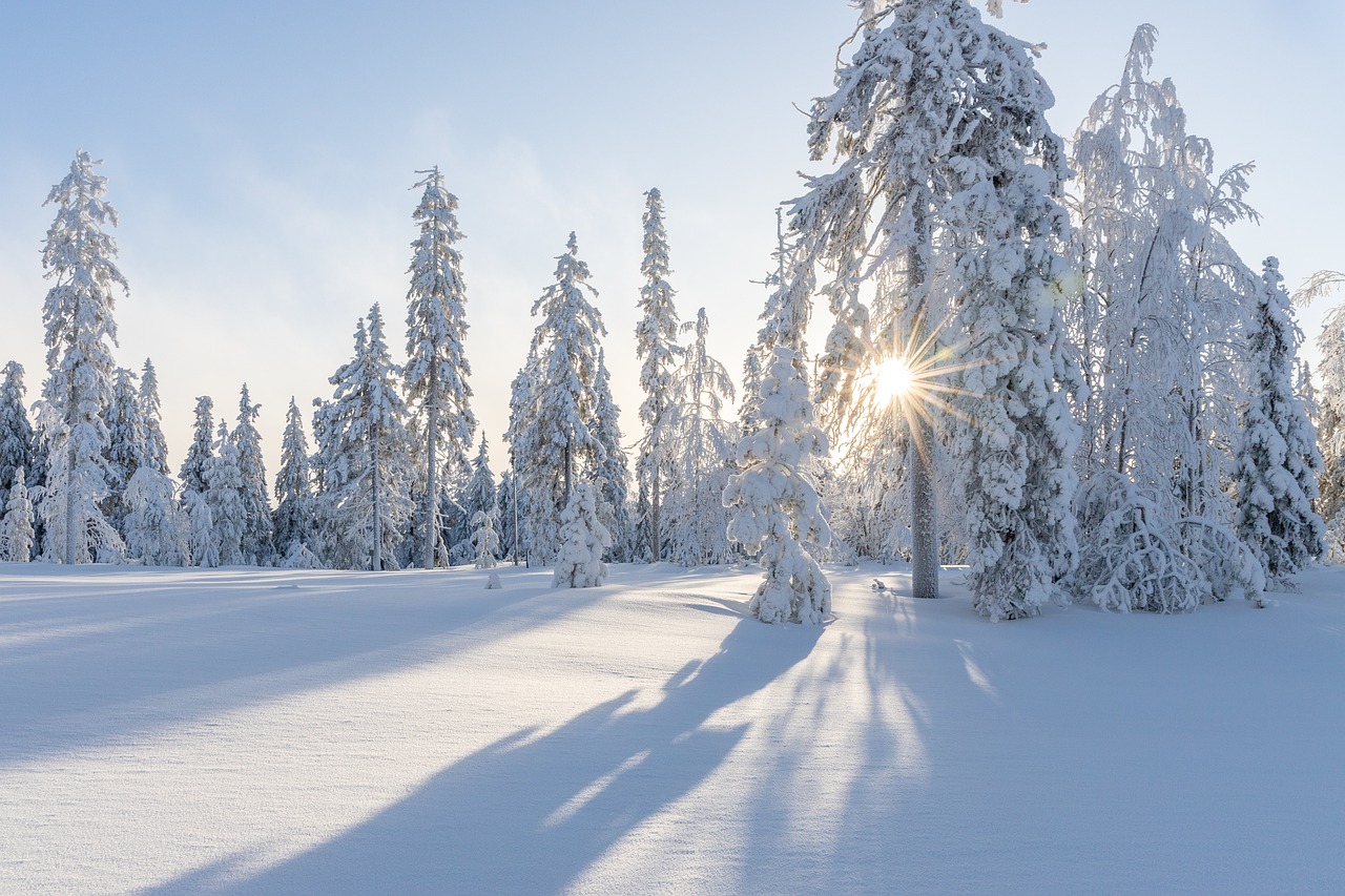 HSP coaching winterreis